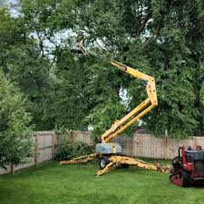 Best Tree Health Inspection  in Pell City, AL