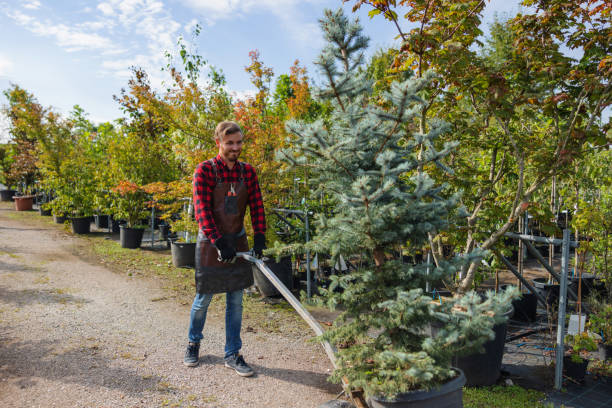 Best Commercial Tree Services  in Pell City, AL